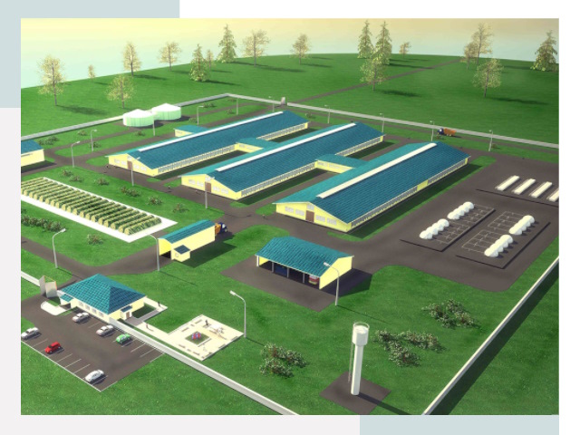 Проектирование современных коровников под ключ в Нижнем Новгороде